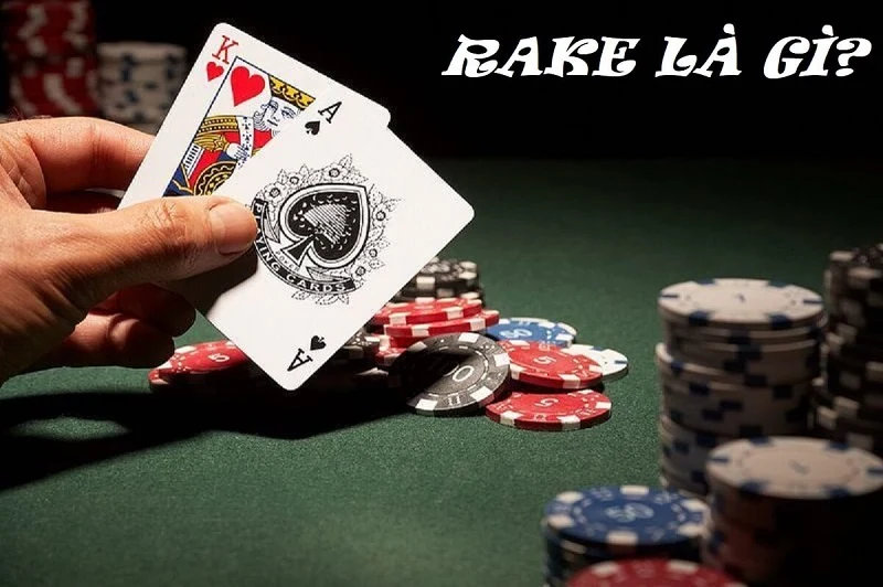 Giải thích Rake trong Poker là gì cho anh em